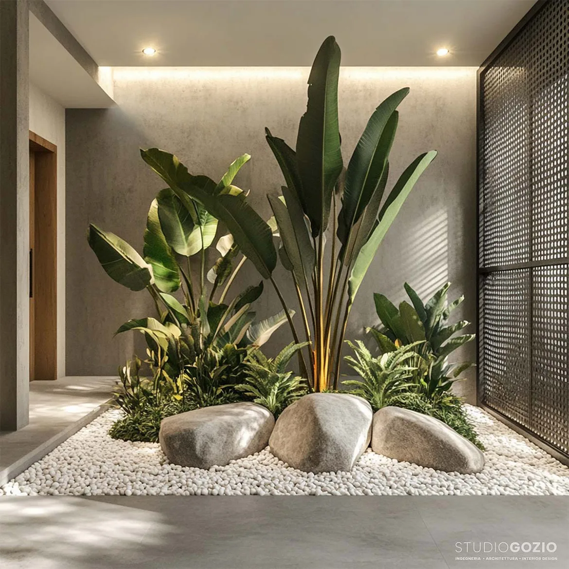 Piante-interno